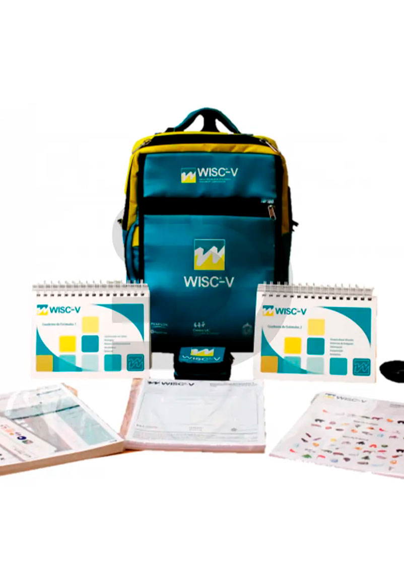 WISC-V WISC-V