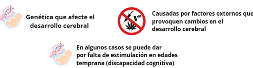 discapacidad intelectual discapacidad intelectual